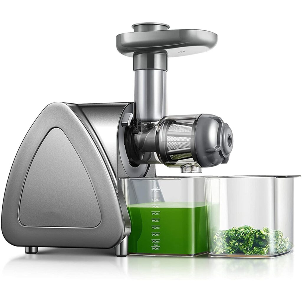 Aobosi Slow Masticating Juicer